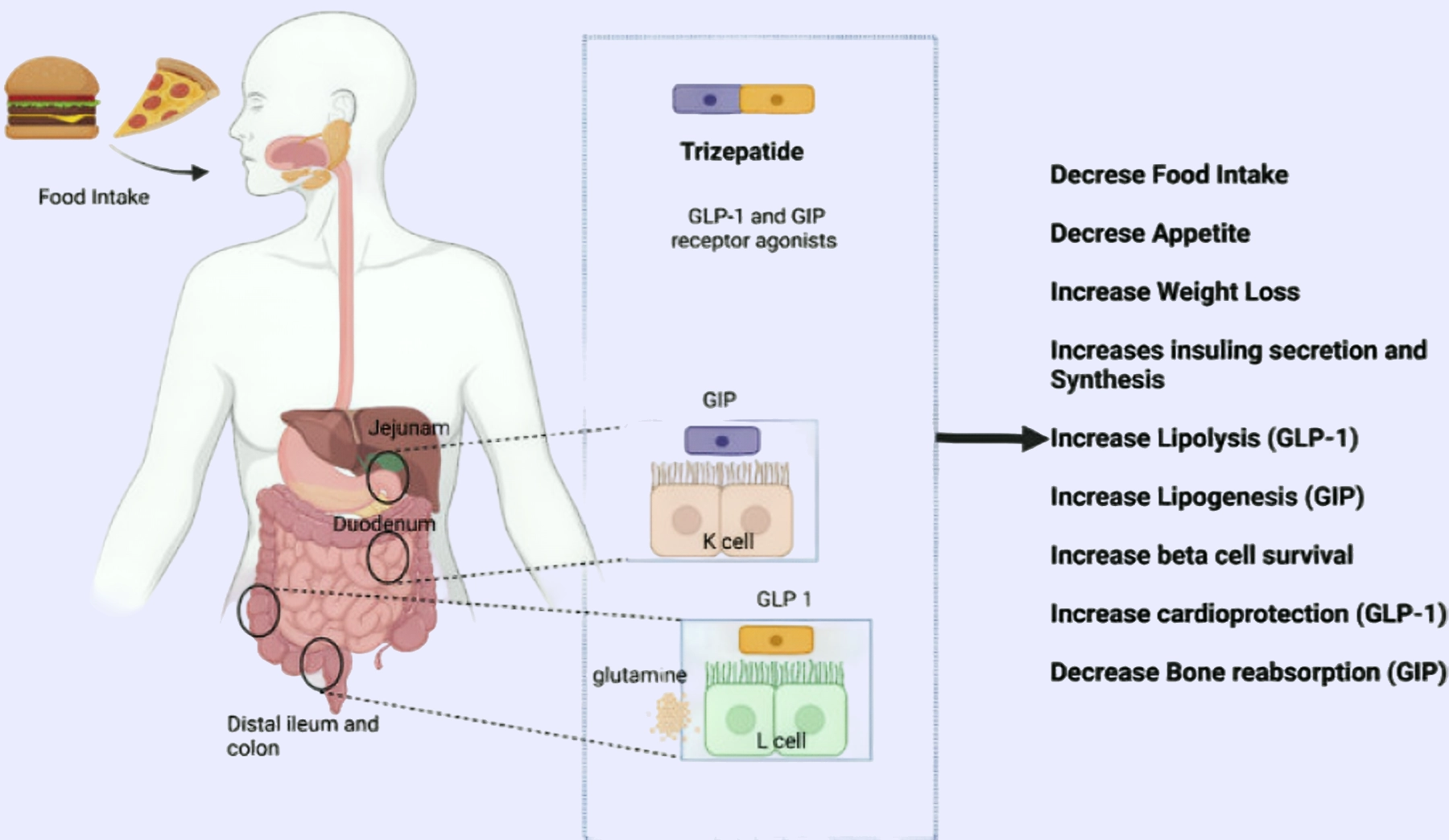 Tirzepatid: Effectively Controlling Blood Sugar Levels