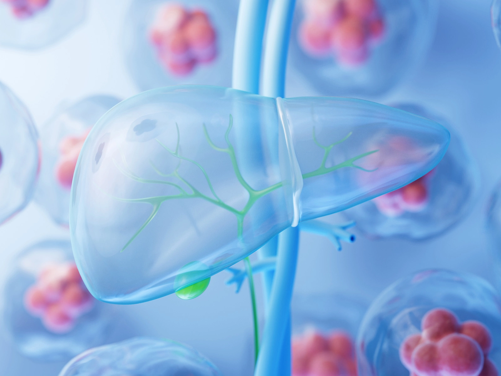 Antioxidation and Liver Health