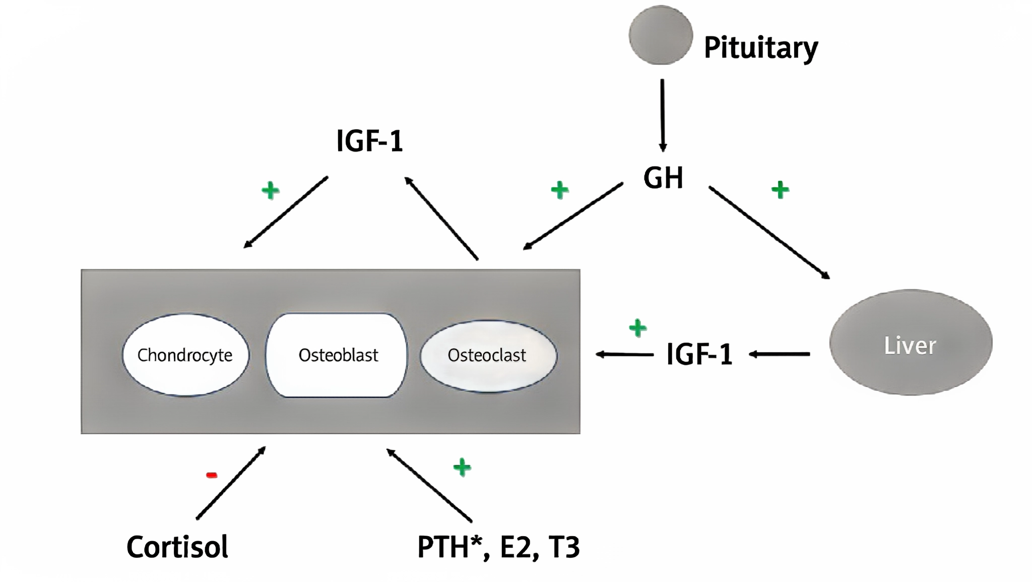 Growth Hormone Deficiency in Children and Peptide Replacement Therapy