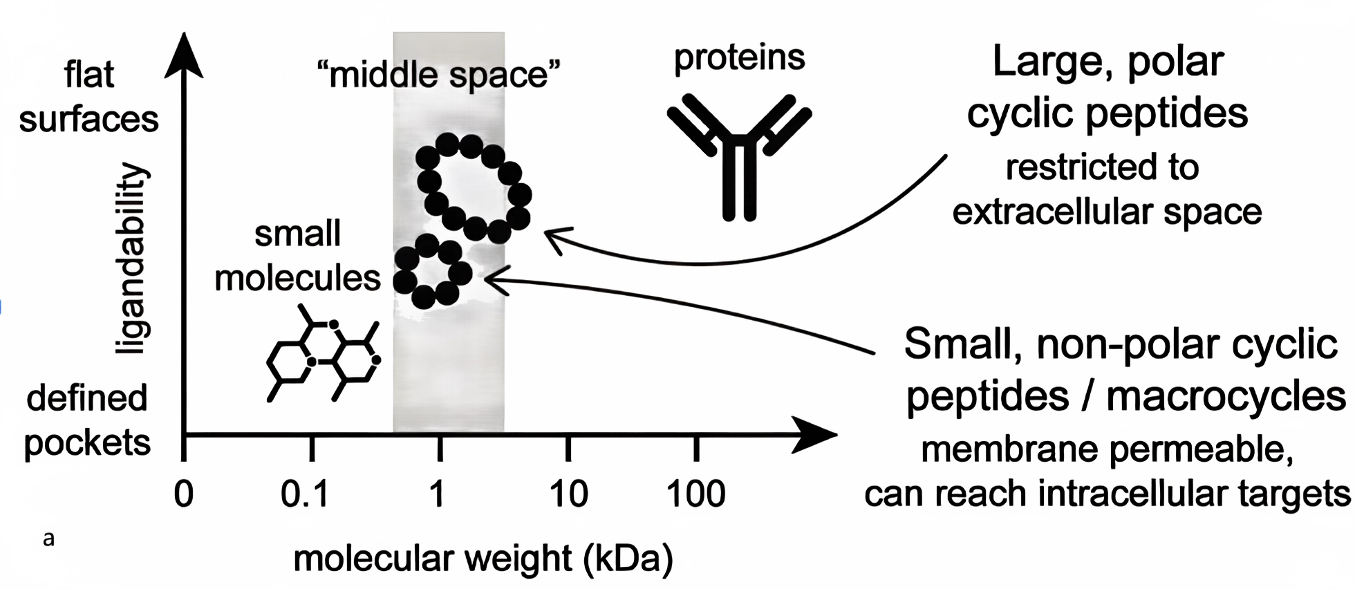 Comparison of Peptide Drugs and Traditional Small-Molecule Drugs