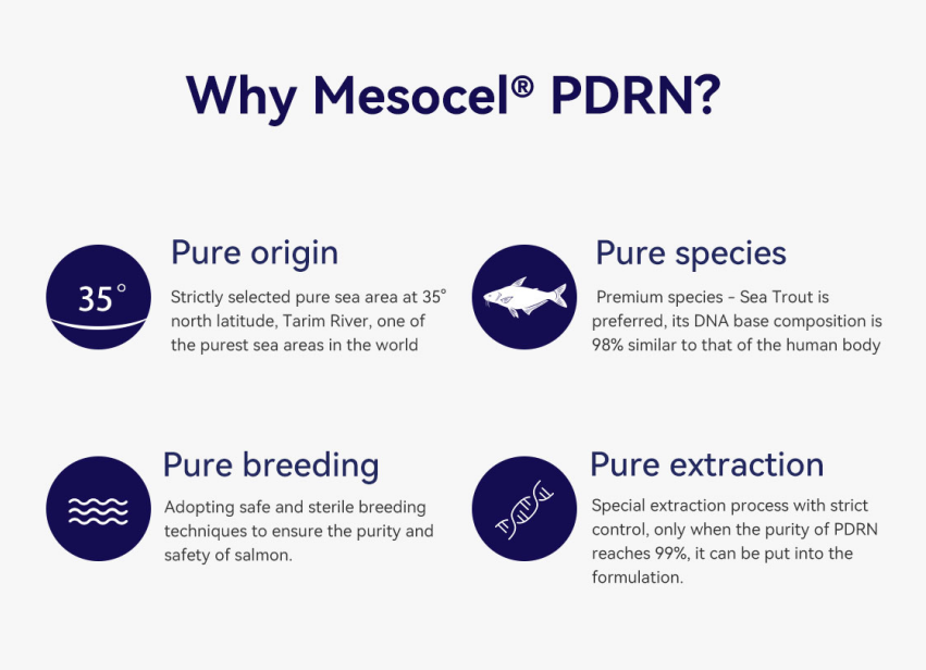 why pdrn skincare