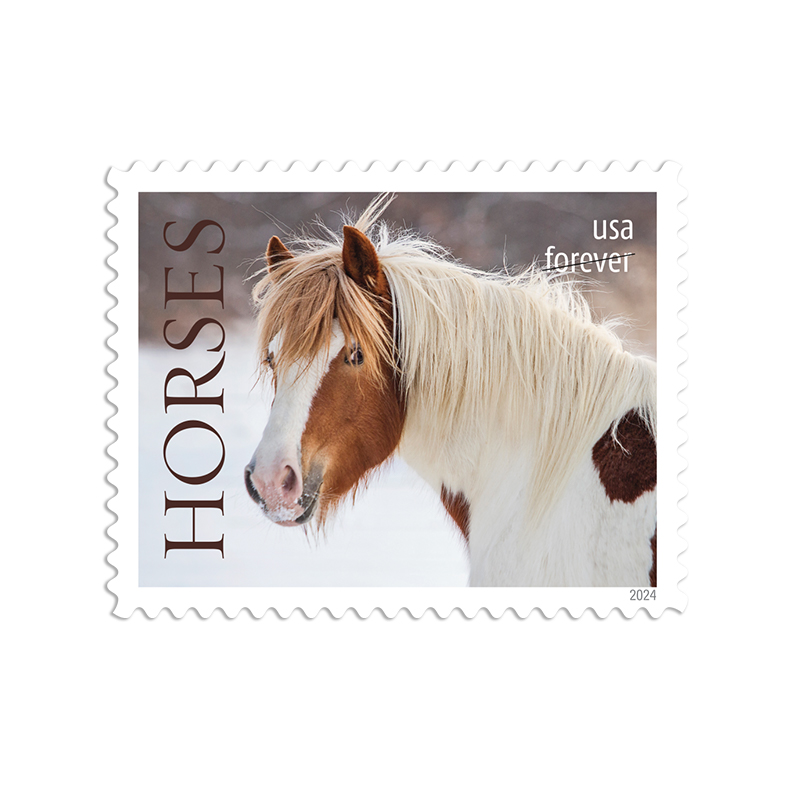 Horses Stamps 2024