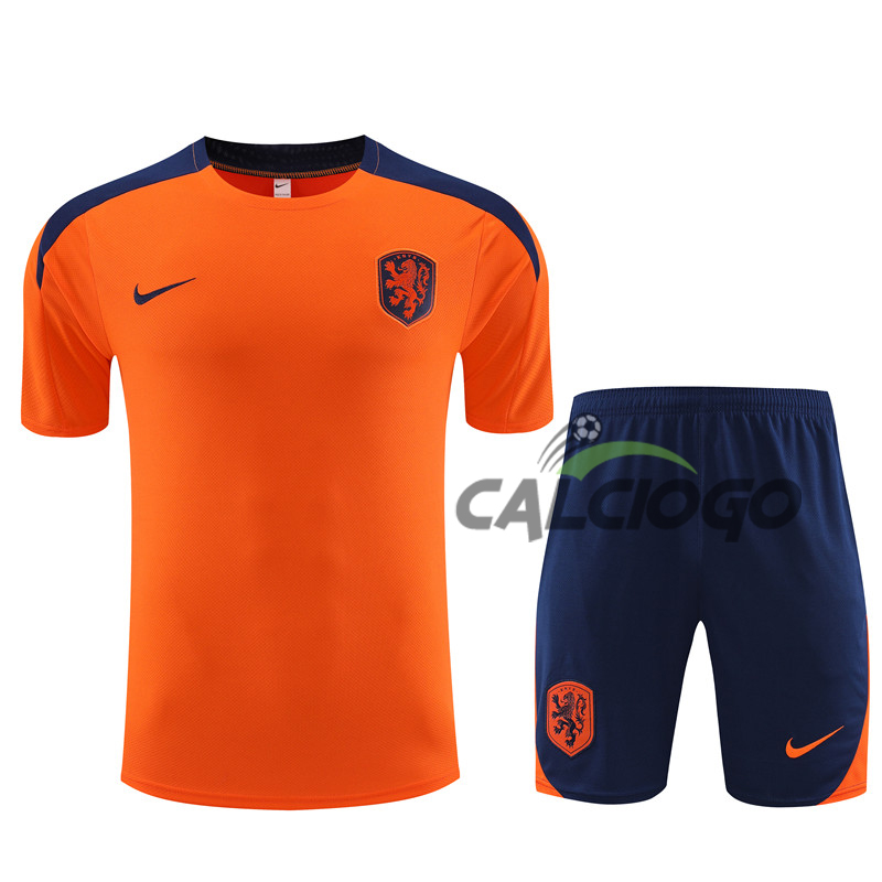 Kit Maglia Netherlands Arancione Jersey 2024-2025