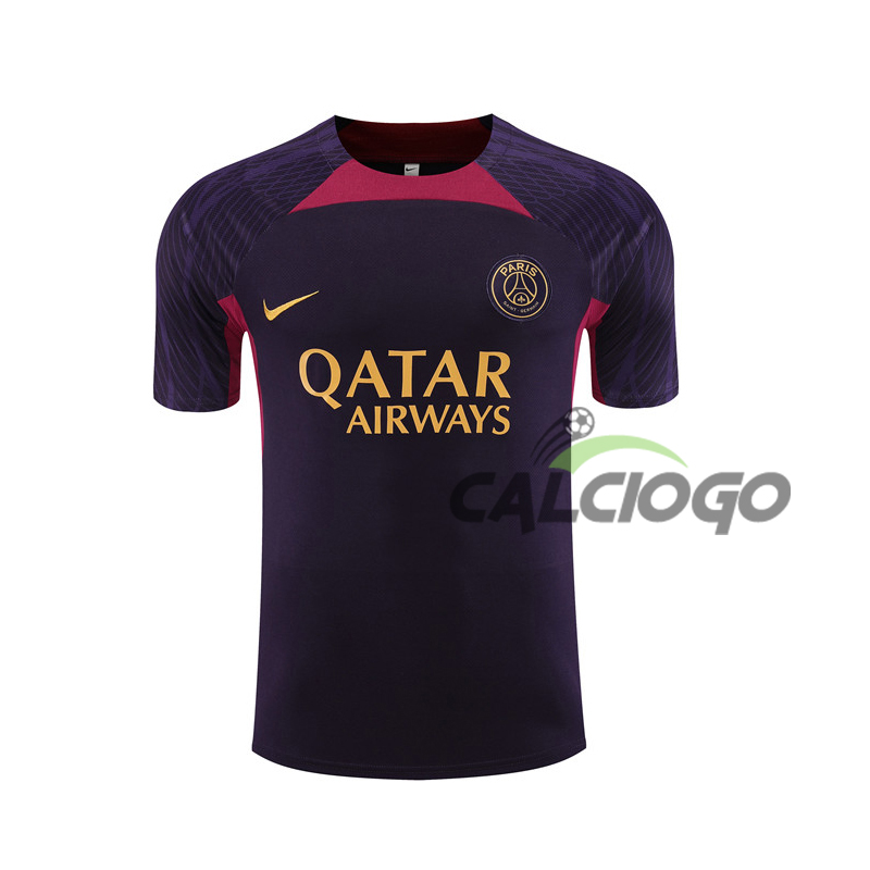 Maglia Paris PSG Blu Viola Jersey 2023-2024