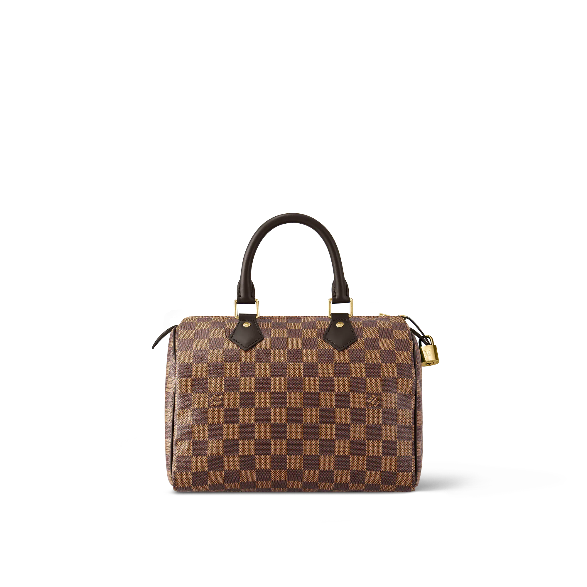 Louis Vuitton Speedy 25 Ref：N41365