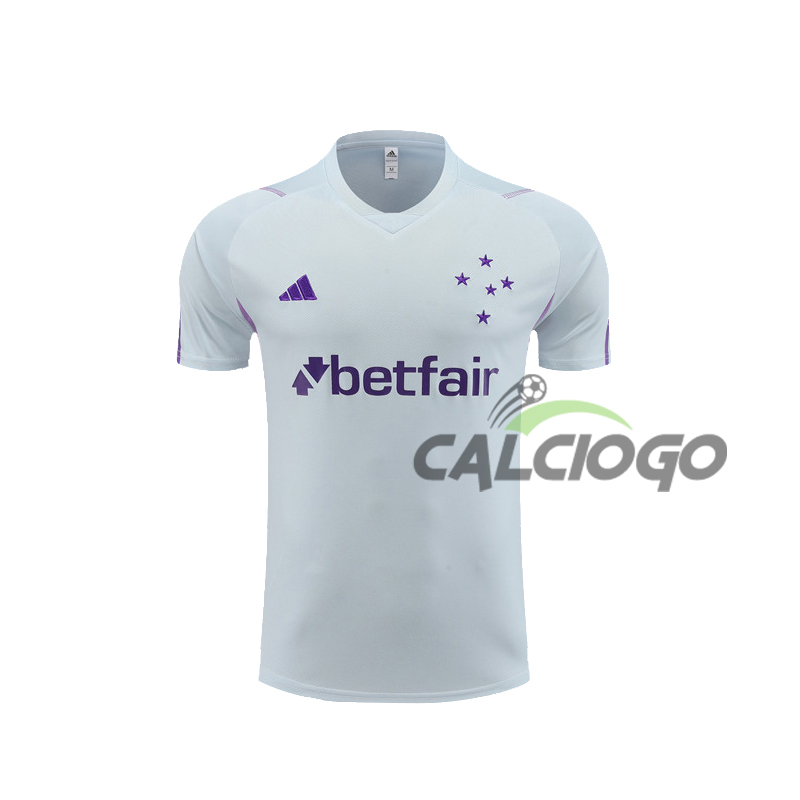 Maglia Cruzeiro Esporte Grigio Jersey 2023-2024