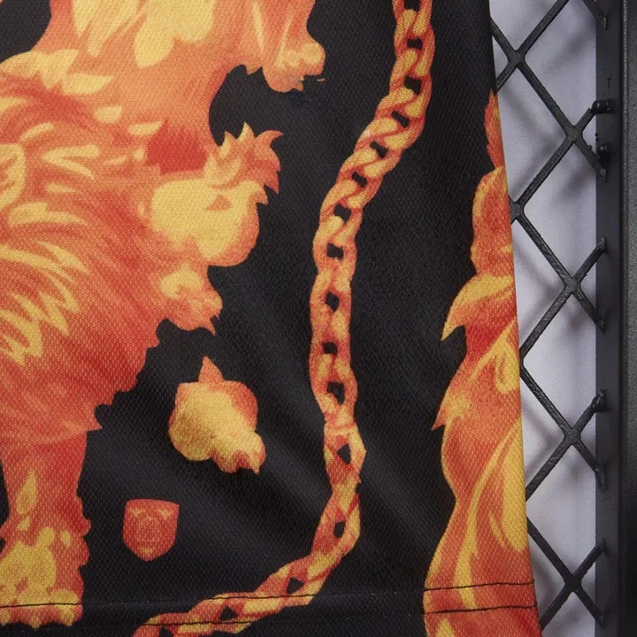 Netherlands 2026 Pre-Match Special Jersey   Fans Version