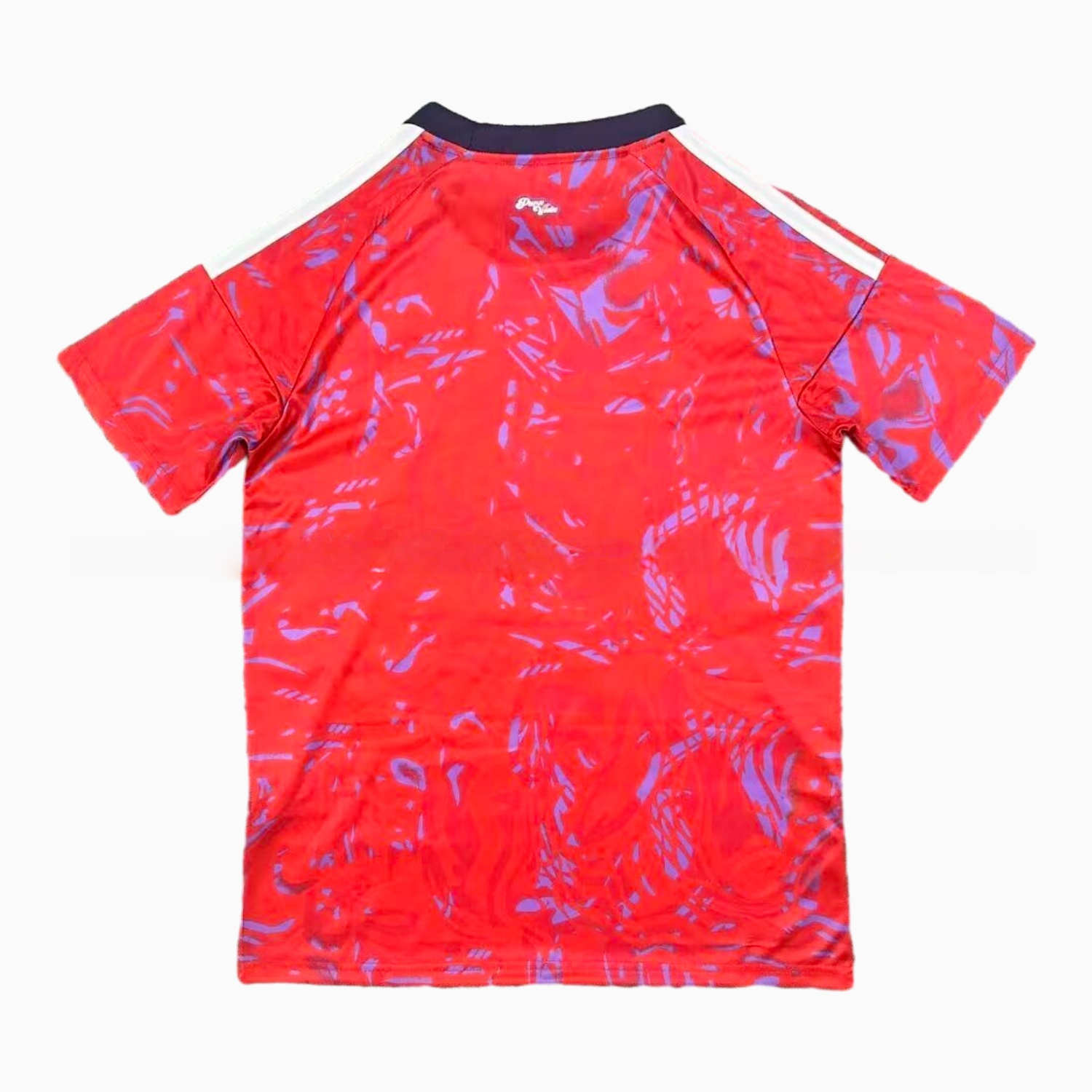 Costa Rica football jersey Fans Version back view