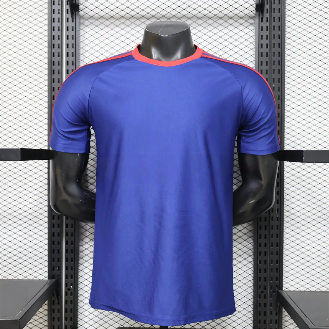 Newcastle United 25-26 Purple-Blue Casual Jersey - Player Version-CKK-1