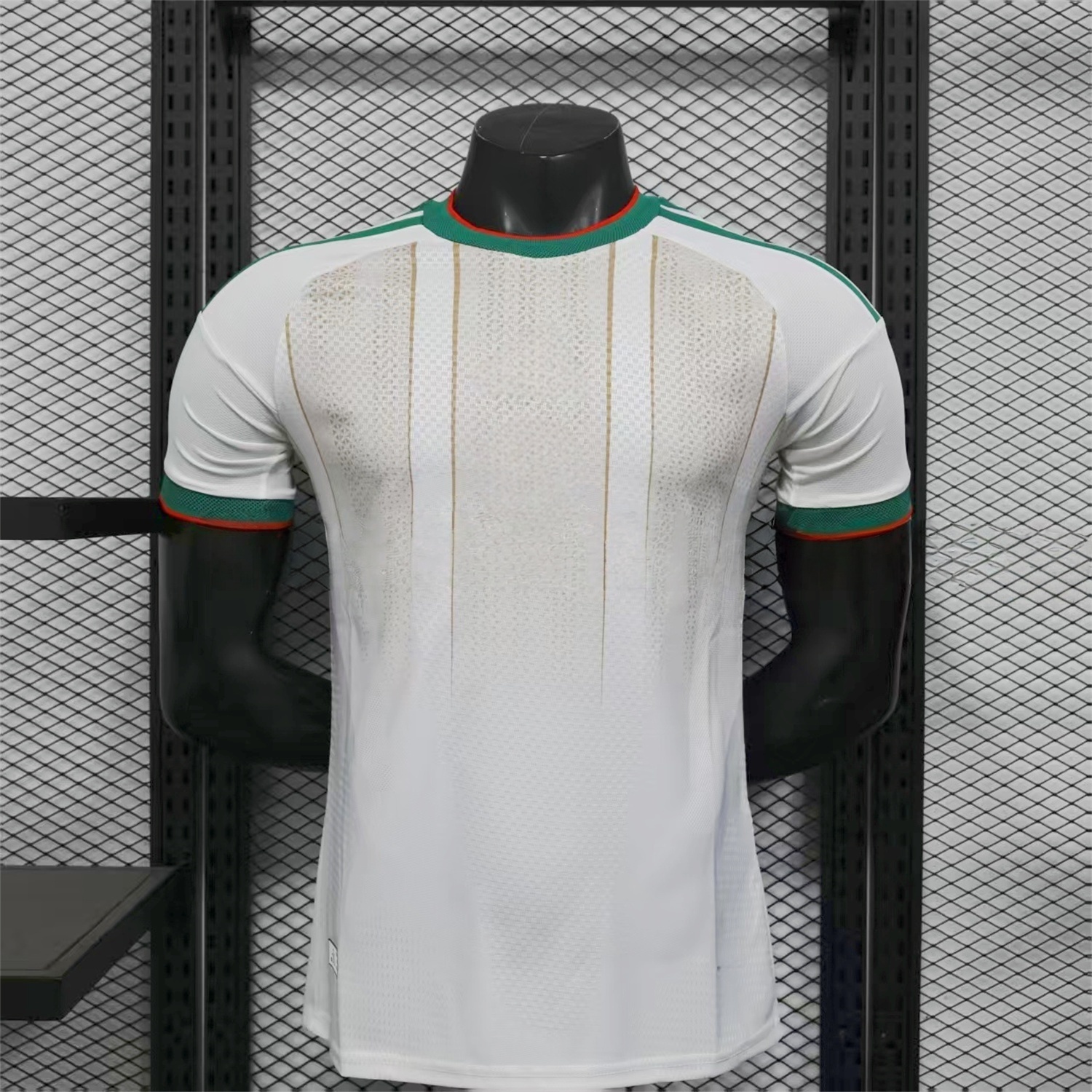 Algeria 2026 Home Jersey - Player Version-CKK-1