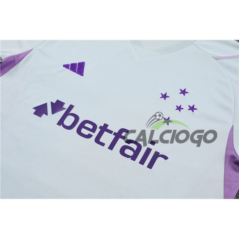 Maglia Cruzeiro Esporte Grigio Jersey 2023-2024