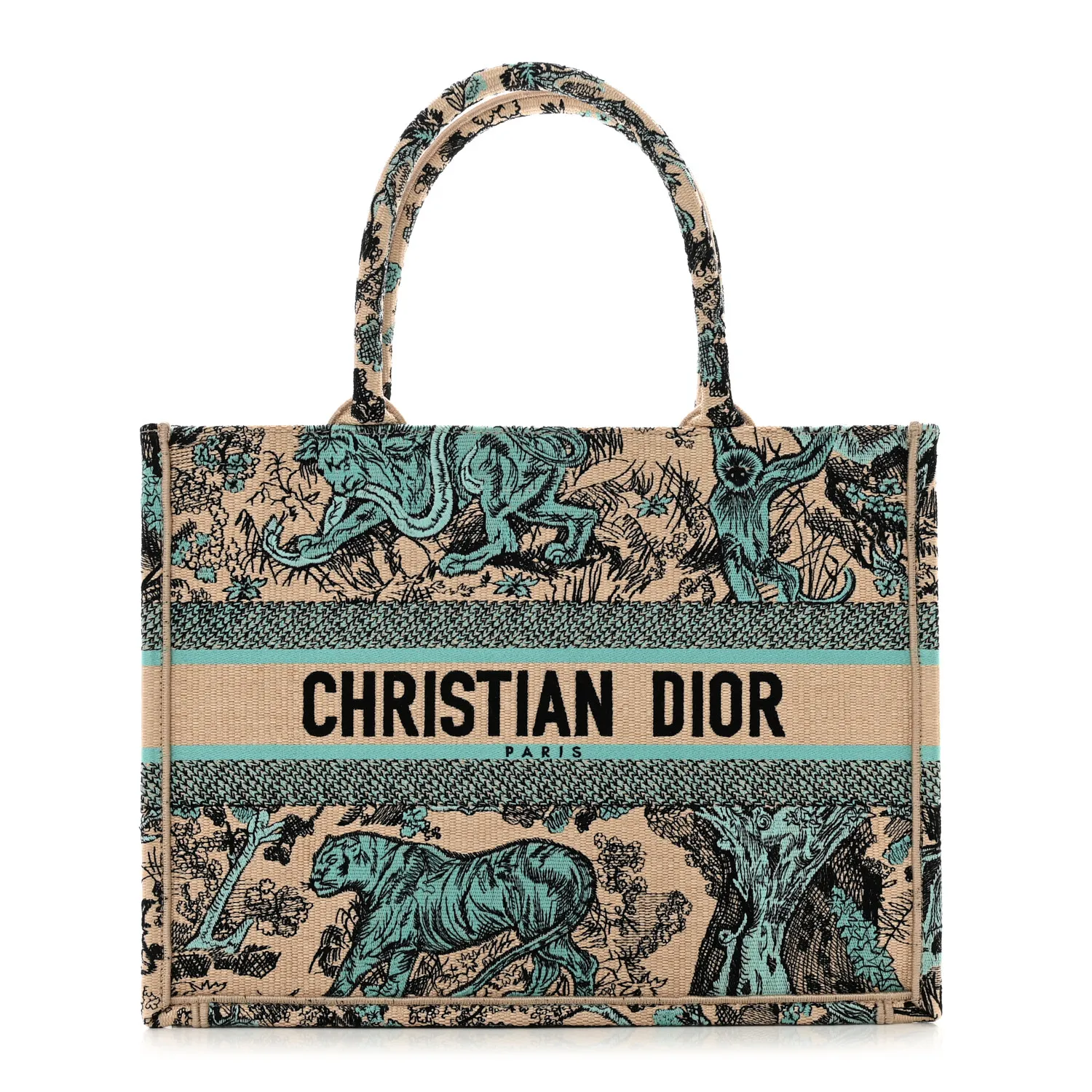 DIOR Raffia Embroidered Dioriviera Medium Book Tote Aquamarina