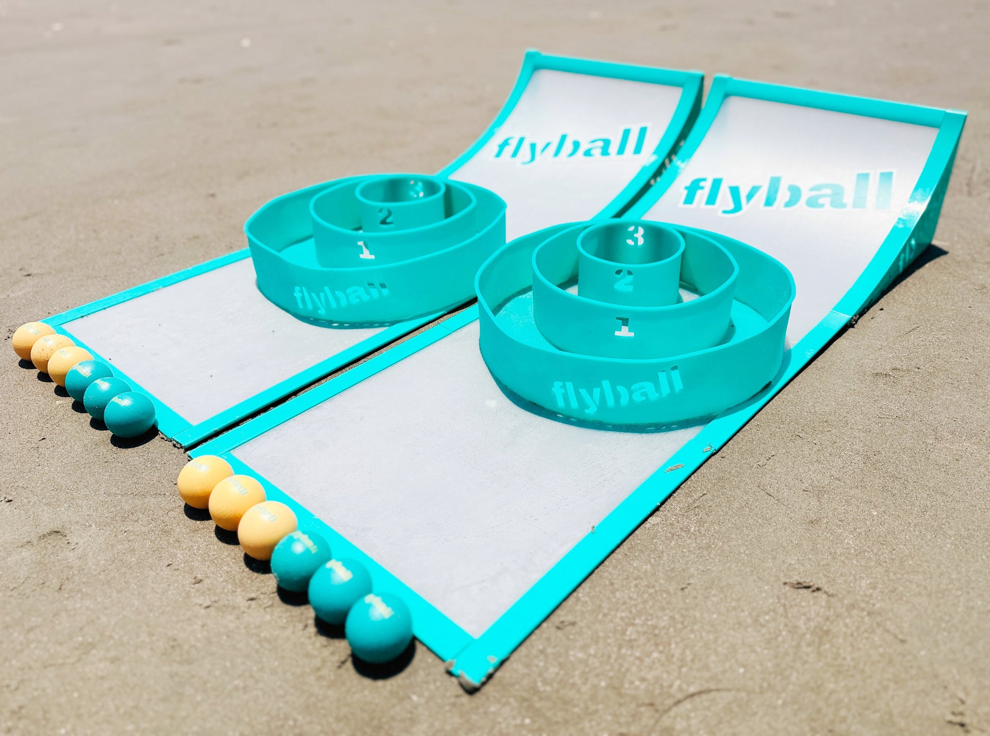 🔥Father's Day 50% Off🔥Flyball Game Set