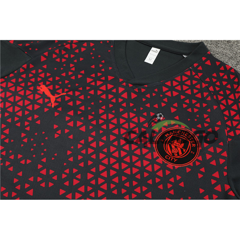 Maglia Manchester City Jersey Grigio 2023-2024