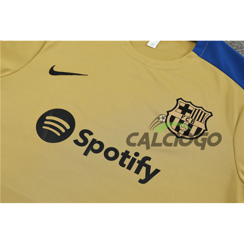Maglia FC Barcellona Oro Strike Jersey 2024-2025