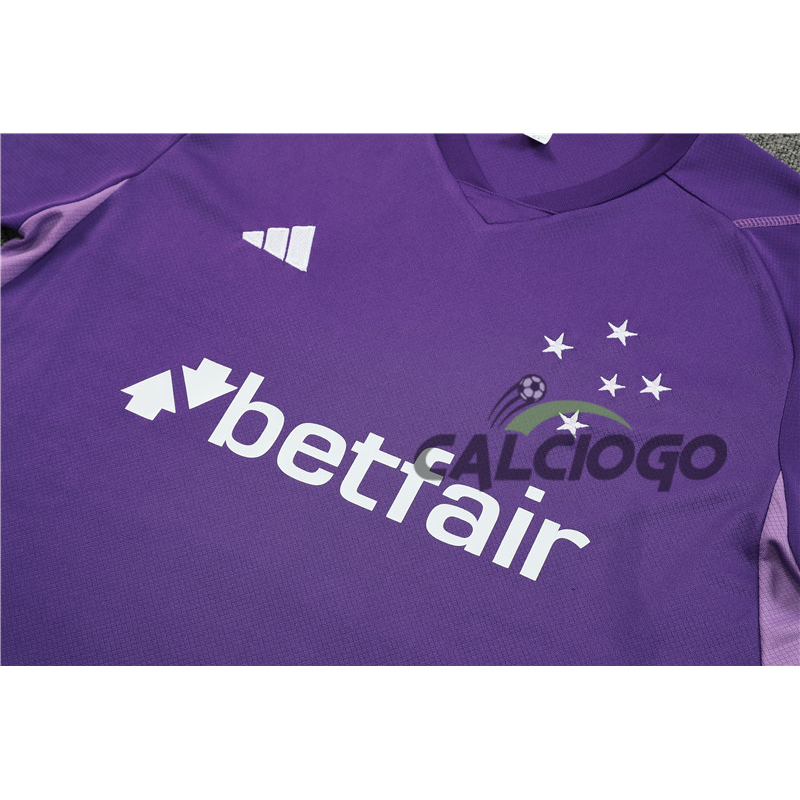 Maglia Cruzeiro Esporte Viola Jersey 2023-2024