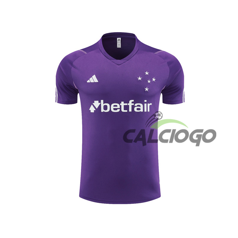 Maglia Cruzeiro Esporte Viola Jersey 2023-2024