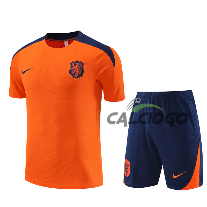 Kit Maglia Netherlands Arancione Jersey 2024-2025