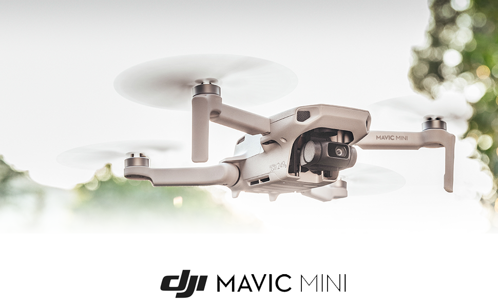 DJI Mavic Mini in Flight