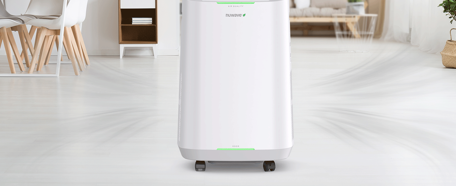 air purifiers for home large room