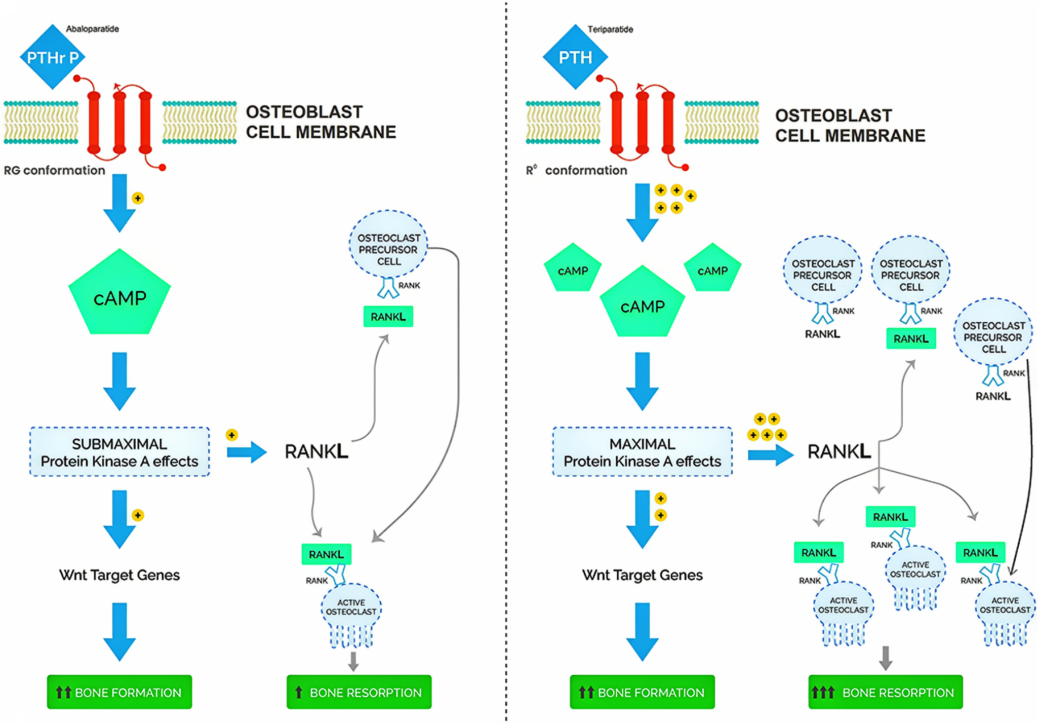 屏幕截图 2025-08-26 150637