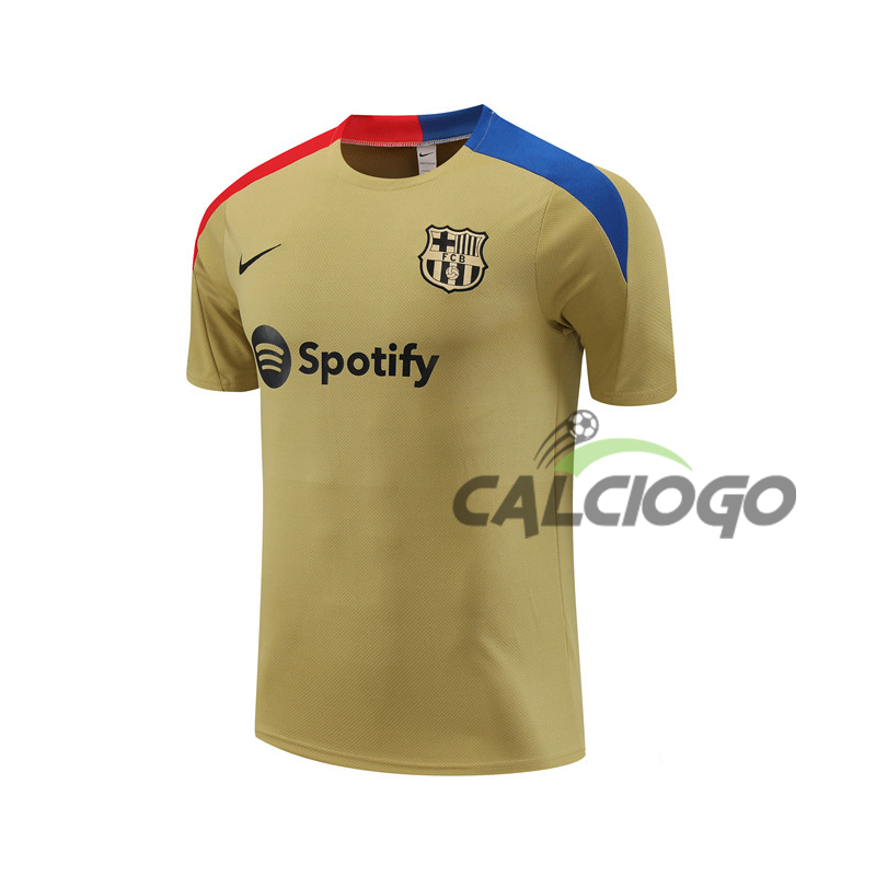 Maglia FC Barcellona Oro Strike Jersey 2024-2025