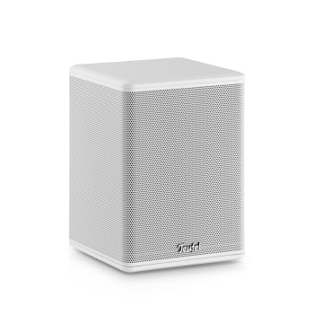 Satelliten-Lautsprecher EFFEKT 2 (Stk.)