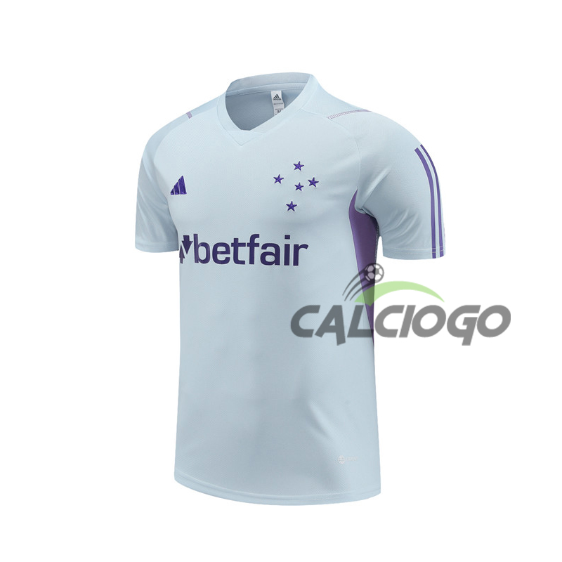 Maglia Cruzeiro Esporte Grigio Jersey 2023-2024