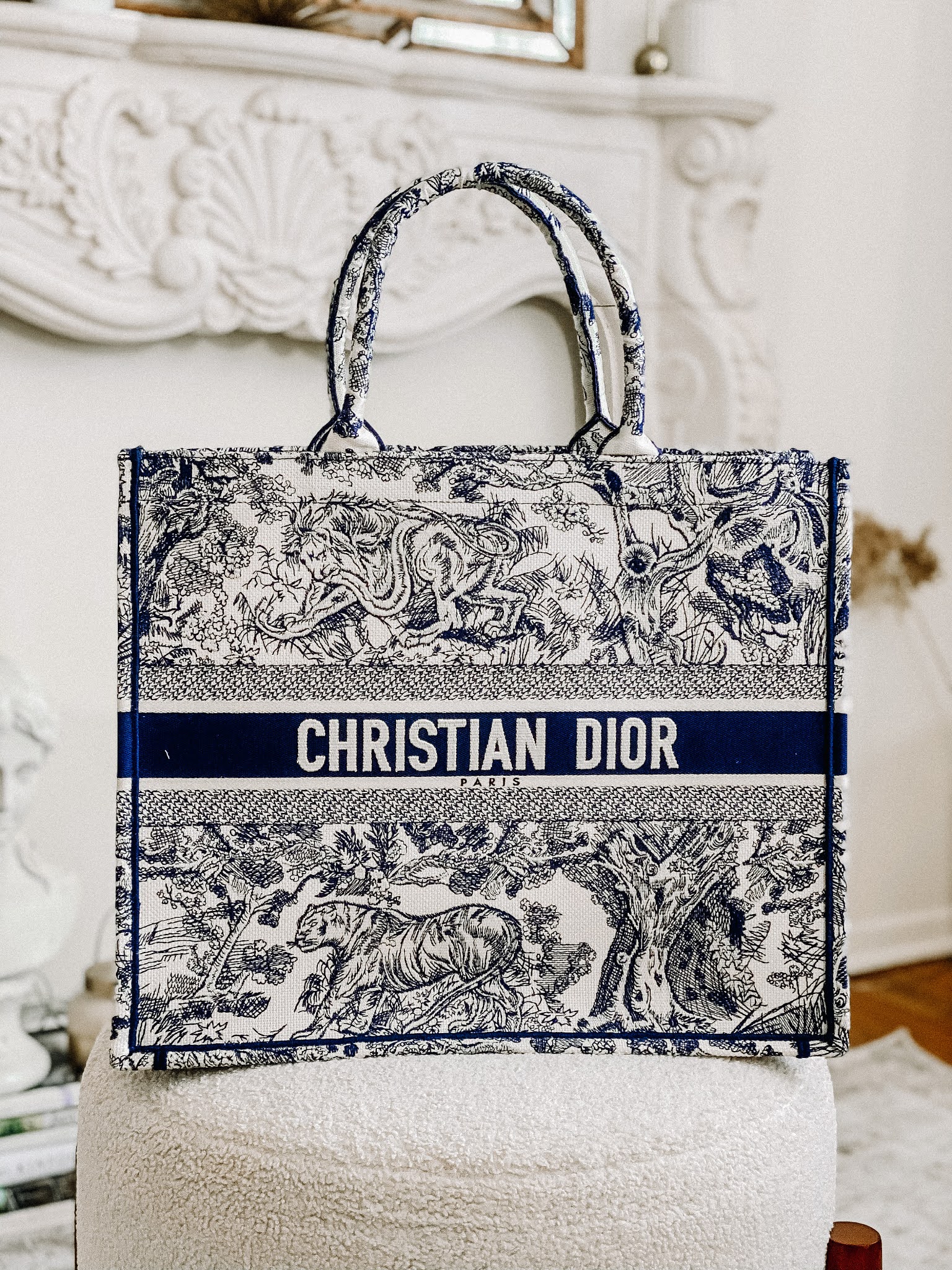 Dadou~Chic: Dior Book Tote Toile De Jouy