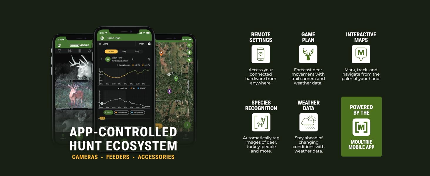 The Connected Ecosystem
