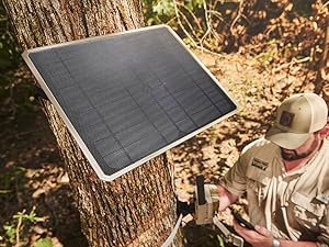 Moultrie Solar Panel on a tree
