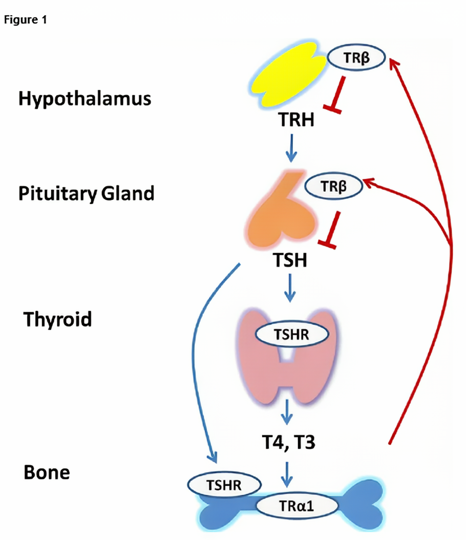 屏幕截图 2025-08-28 162324