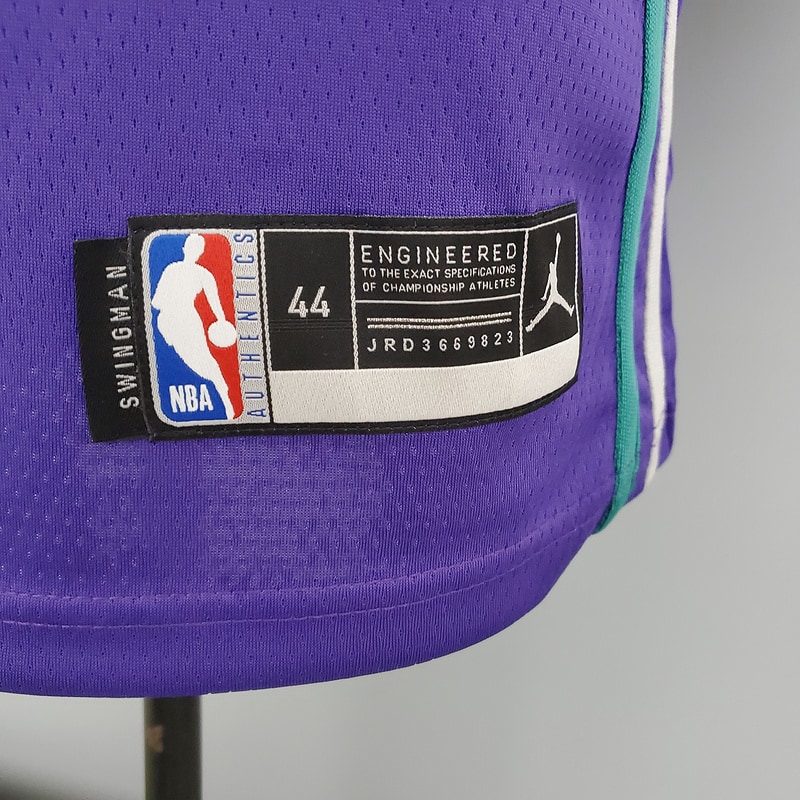 Hornets Hayward#20 Purple NBA Jersey S-XXL