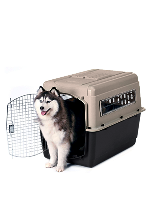 outdoor dog kennel, xl dog kennel, dog kennels and crates for medium dogs,large dog kennel,