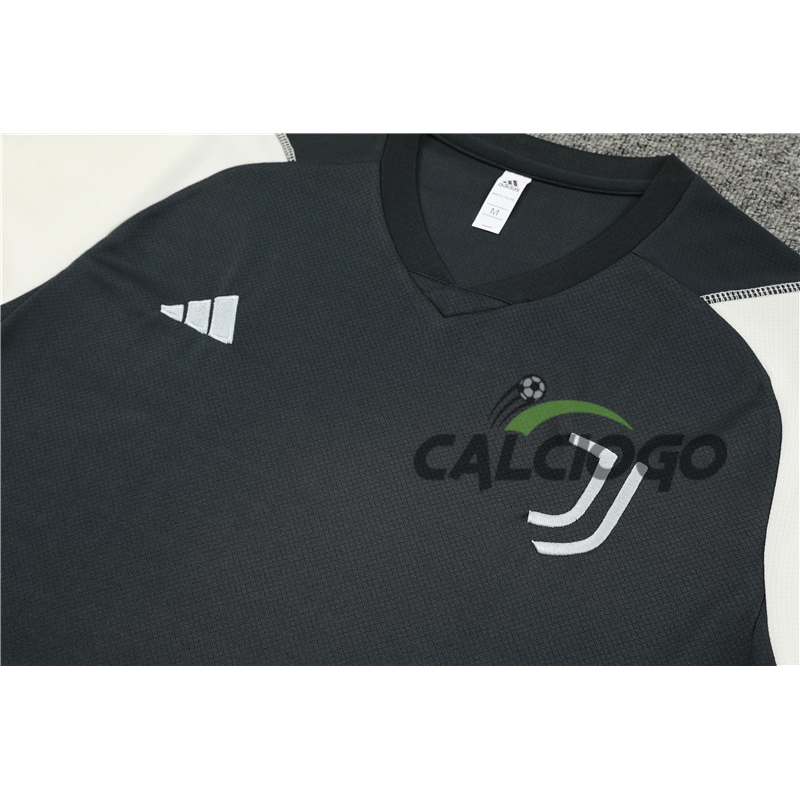 Maglia Juventus Grigio Manica Corta 2023-2024