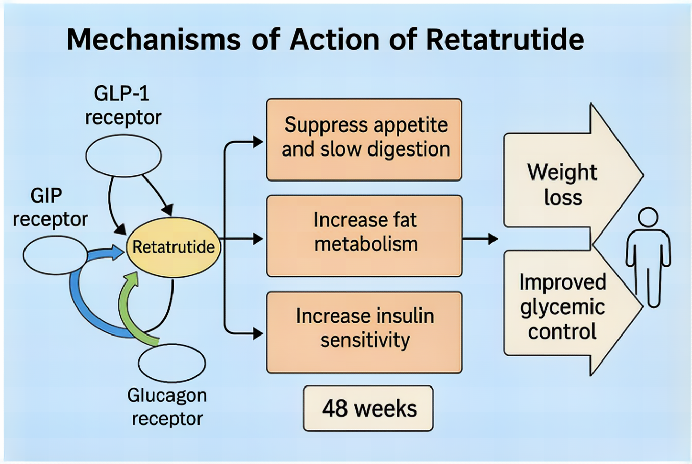 屏幕截图 2025-08-18 155256