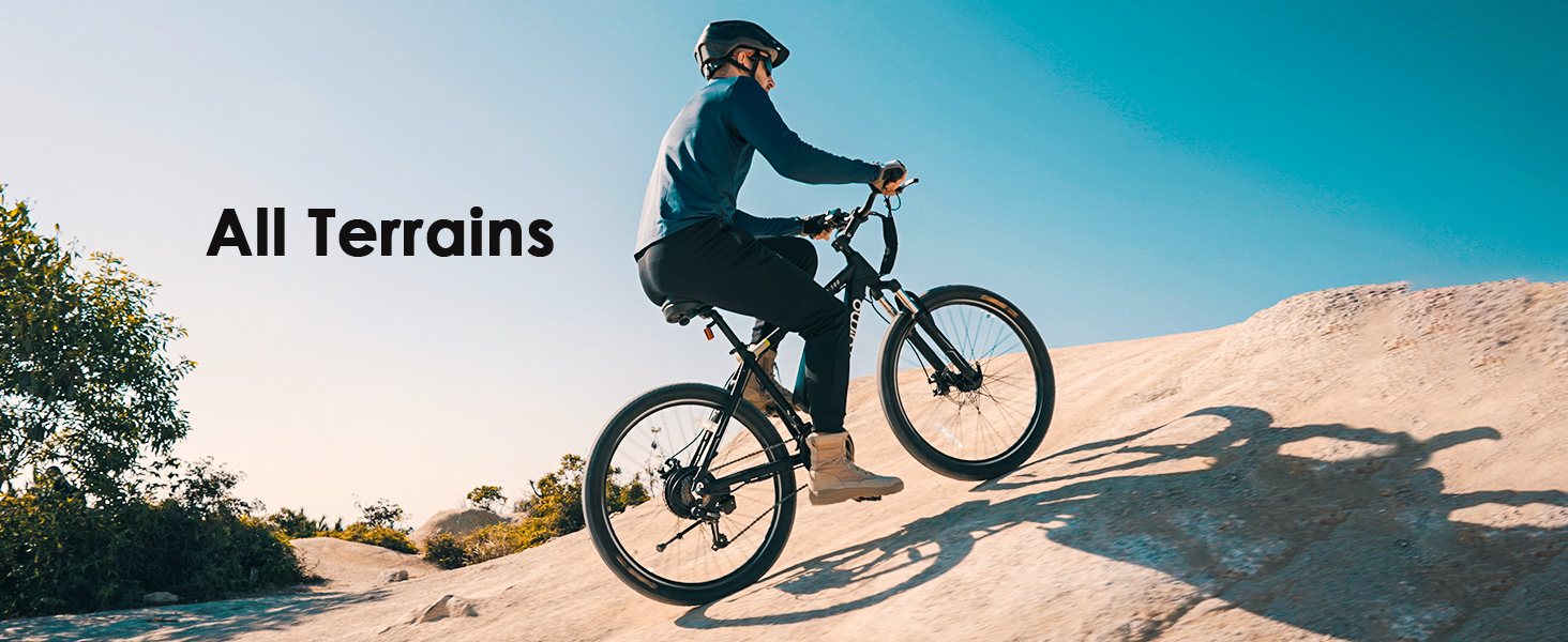 ebikes for adults