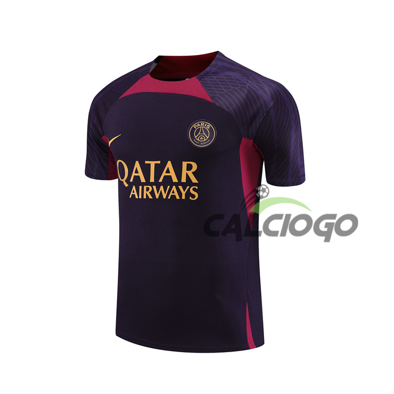 Maglia Paris PSG Blu Viola Jersey 2023-2024