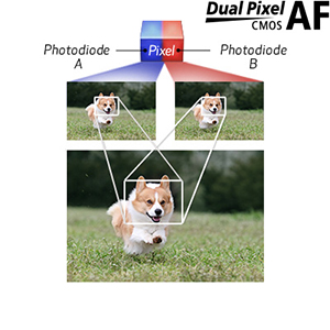 Fast and Accurate Dual Pixel CMOS AF with Eye Detection AF