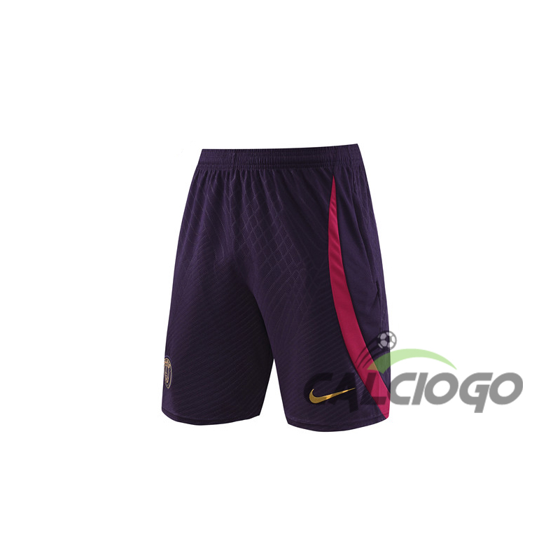 Paris PSG Pantaloncini Blu Viola 2023-2024