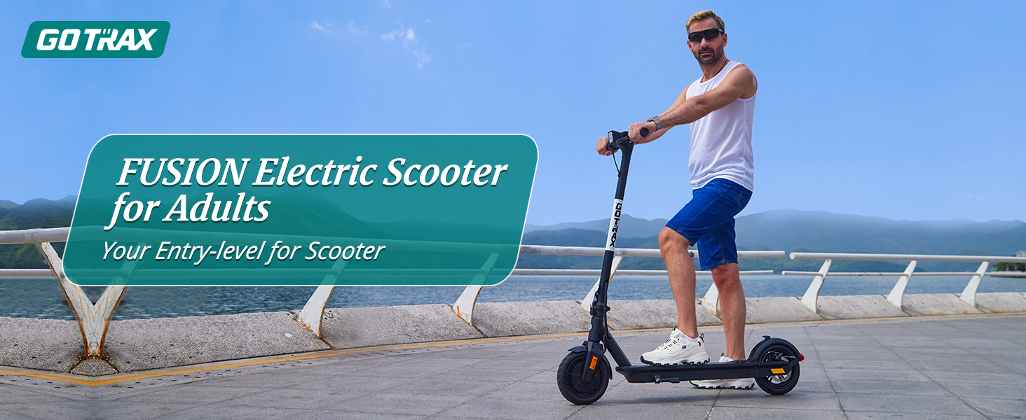 scooter for adult