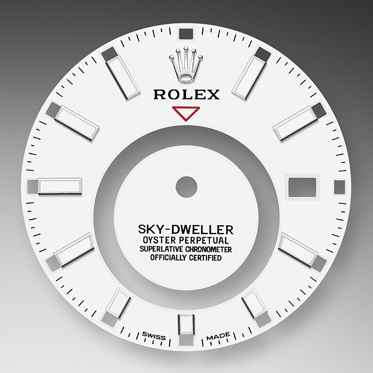 Rolex Sky-Dweller in Oystersteel, Oystersteel and gold, m326934-0002 | Europe Watch Company