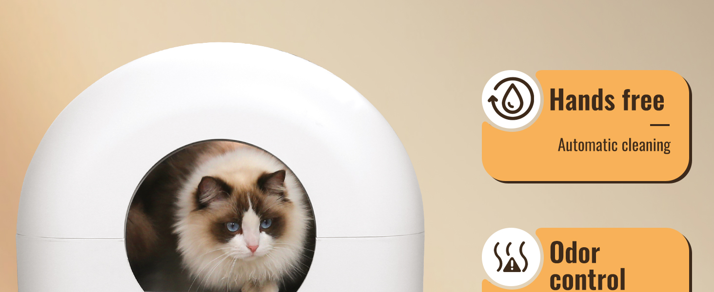 Self Cleaning Cat Litter Box