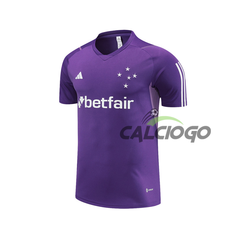 Maglia Cruzeiro Esporte Viola Jersey 2023-2024