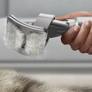 Pet groom tool