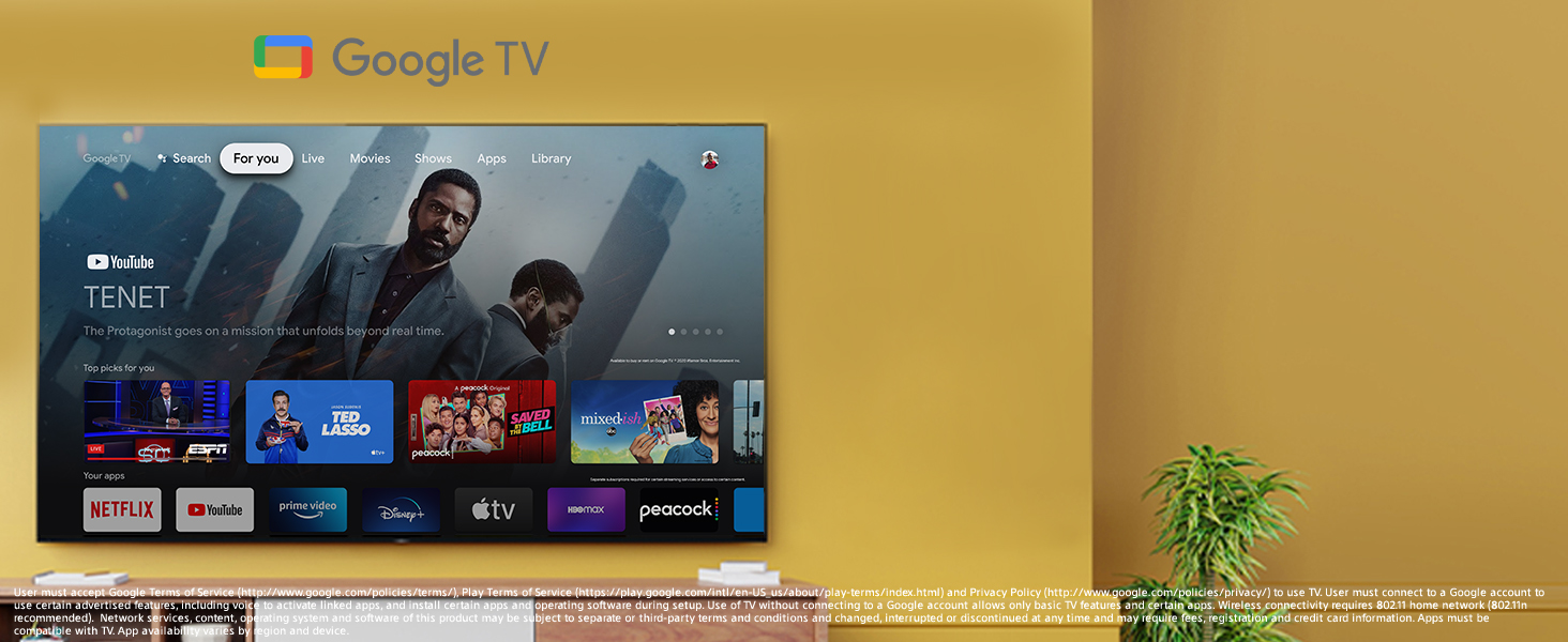 Google TV