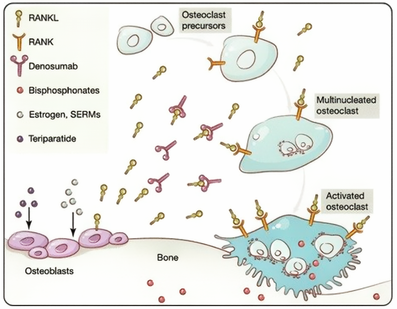 屏幕截图 2025-08-26 151325