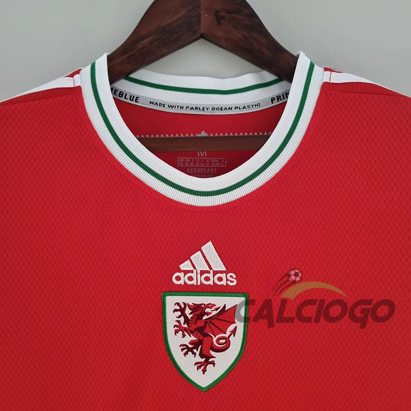 Wales Femmina Jersey Rosso 2022