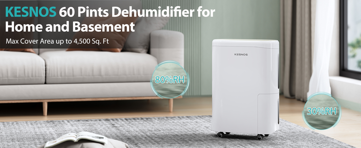 dehumidifier for home