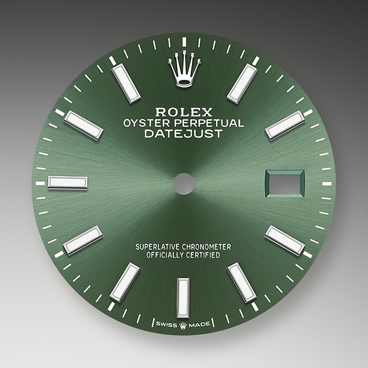 Rolex Datejust in Oystersteel, Oystersteel and gold, m126234-0051 | Europe Watch Company